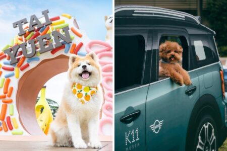 Two new pet-friendly-gardens open in Hong Kong