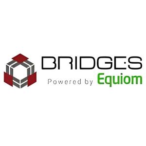 bridges logo