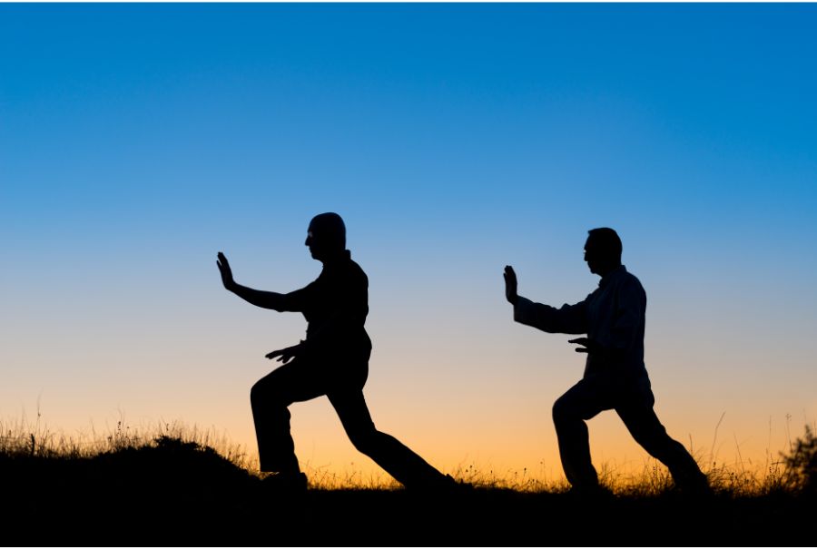 the silhouettes of two men practicing tai chi during dusk