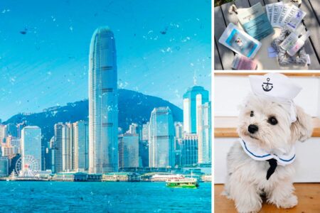 first-ever dog-friendly tour around Victoria Harbour