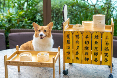 dog yum cha dim sum cart