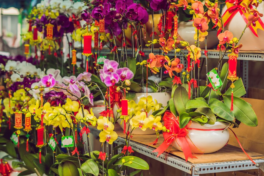 flower market lunar new year