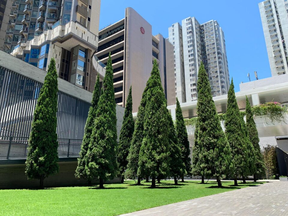 joyful tree exhibition causeway bay