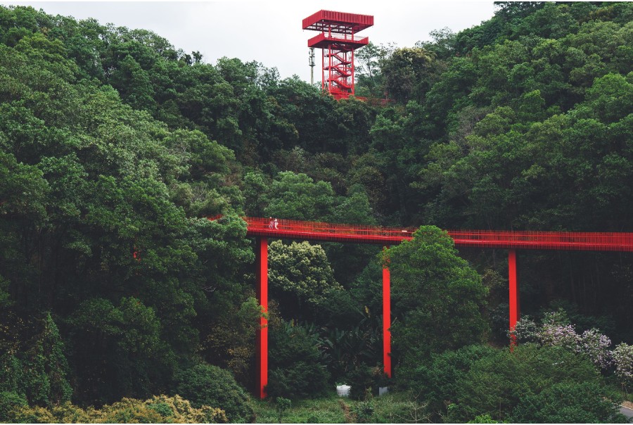 hongqiao park shenzhen