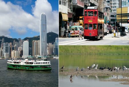 List of free Hong Kong train, train and ferry rides on July 1 2023