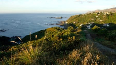 Wellington, North Island, New Zealand