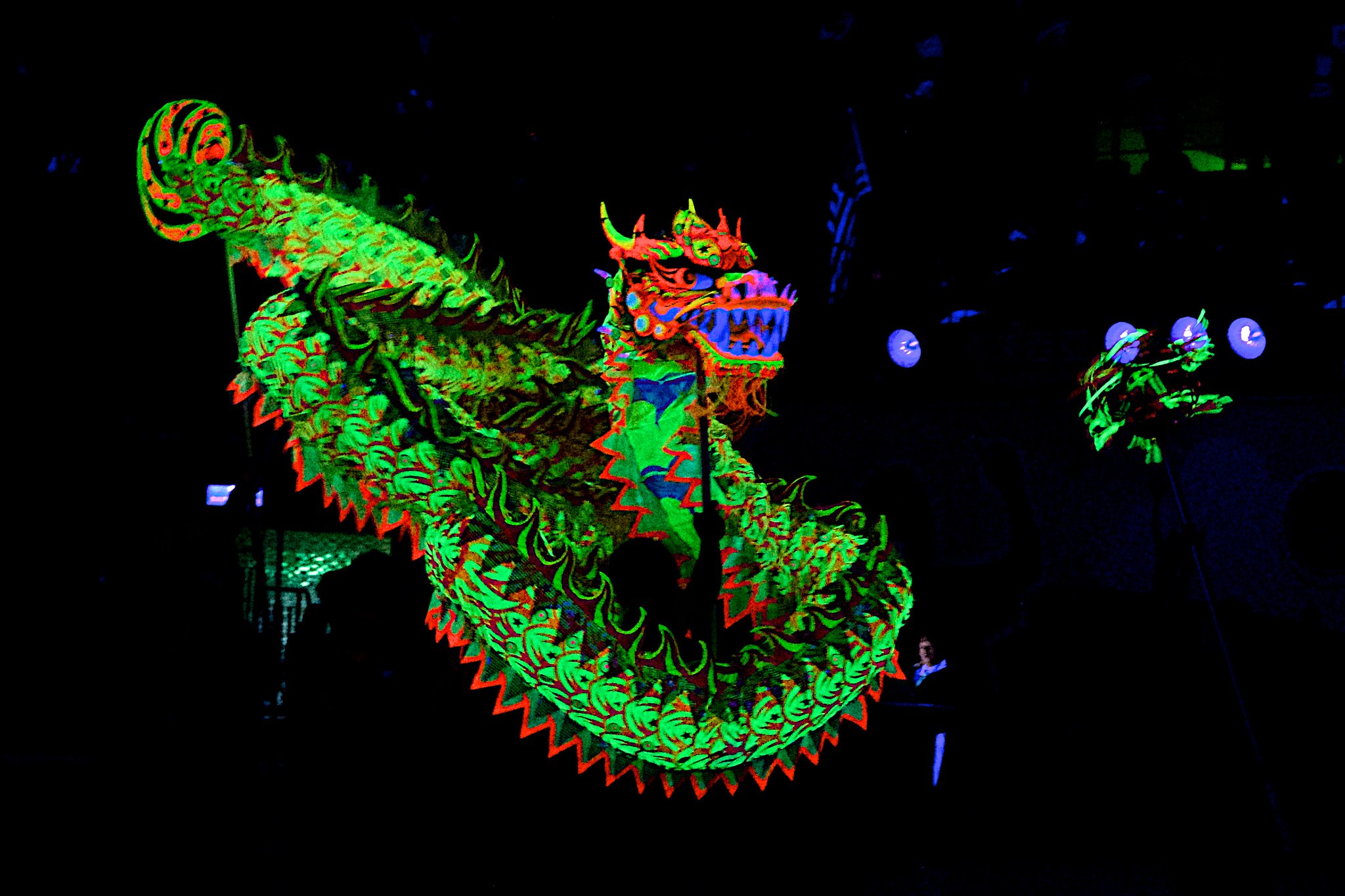 traditional night illumination dragon