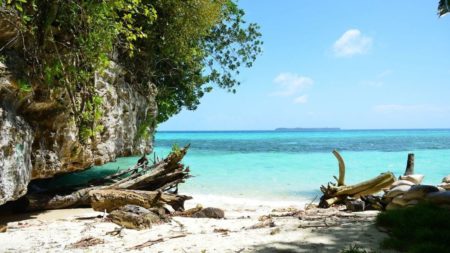 Beach in palau