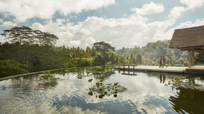 Rooftop Lotus pond Sayan