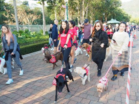 The Hong Kong SPCA Dogathon event.