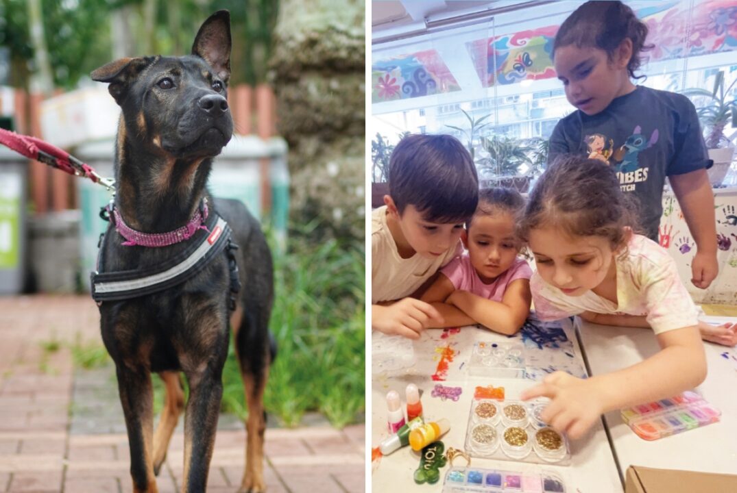 A collage showing a rescue dog from Hong Kong SPCA (left) and a group of four children making their own dog tags during a workshop (right)