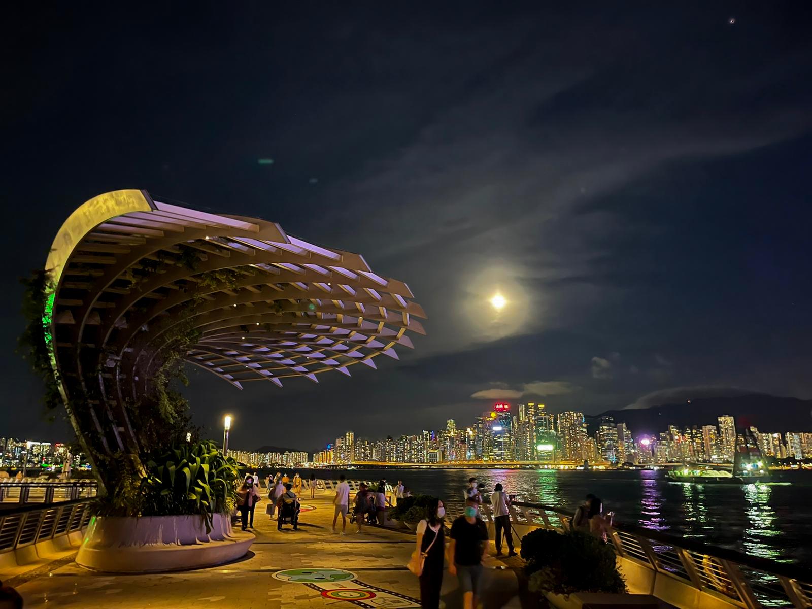 avenue of stars at night in hong kong