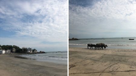 Views of Lower Cheung Sha Beach